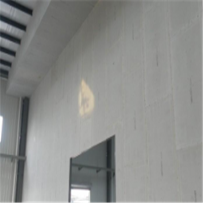 丹凤新型建筑材料掺多种工业废渣的ALC|ACC|FPS模块板材轻质隔墙板